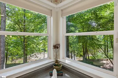 20 Ladybird Court, Simpsonville, SC 29680 - Photo 11