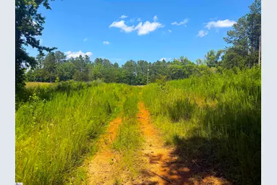 9816 Neely Ferry Road, Waterloo, SC 29384 - Photo 5
