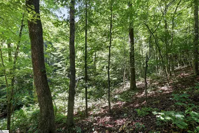 196 Raines Road, Easley, SC 29640 - Photo 35