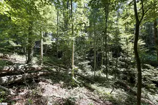 196 Raines Rd, Easley, SC 29640 - Photo 29