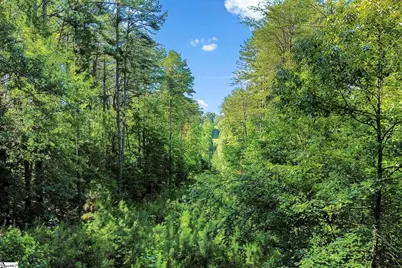 196 Raines Road, Easley, SC 29640 - Photo 25