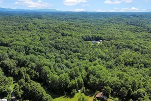 196 Raines Rd, Easley, SC 29640 - Photo 21