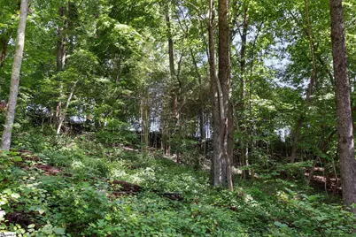 196 Raines Road, Easley, SC 29640 - Photo 39