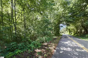 196 Raines Rd, Easley, SC 29640 - Photo 41