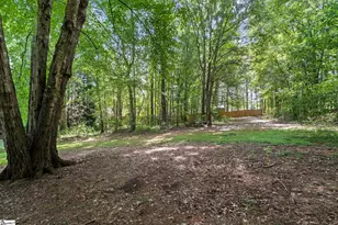 21 Brannons View Dr, Taylors, SC 29687 - Photo 35