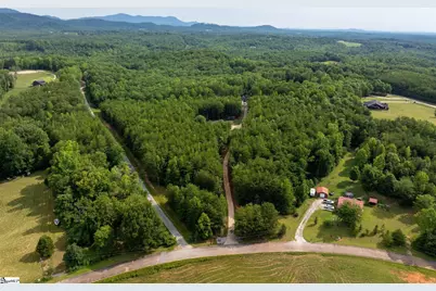 110 Gosnell Farmer Road, Landrum, SC 29356 - Photo 49