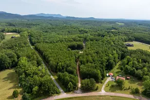 110 Gosnell Farmer Rd, Landrum, SC 29356 - Photo 49