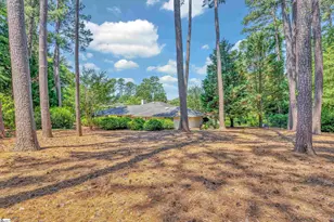 30 Pinto Ct, Spartanburg, SC 29307 - Photo 39