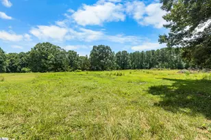 00 Poole Rd, Clinton, SC 29325 - Photo 1