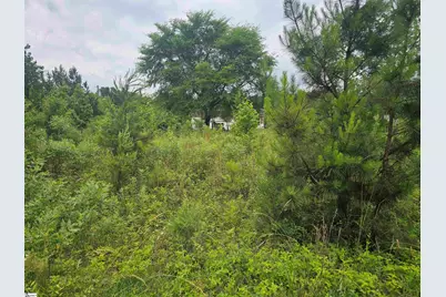 348 Dillon Drive, Clinton, SC 29325 - Photo 1