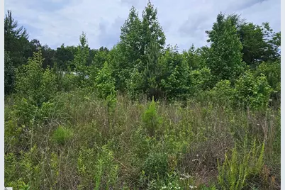 144 Colleton Lane, Clinton, SC 29325 - Photo 1