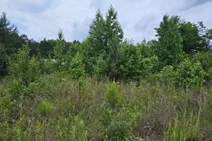144 Colleton Dr, Clinton, SC 29325 - Photo 1