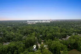 2 Lotus Ct, Greenville, SC 29609 - Photo 49