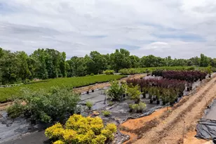 1350 Lee Cudd Rd, Rutherfordton, NC 28139 - Photo 9