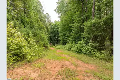 1350 Lee Cudd Road, Rutherfordton, NC 28139 - Photo 5