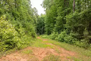 1350 Lee Cudd Rd, Rutherfordton, NC 28139 - Photo 5