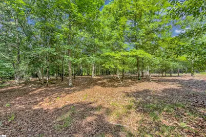 28 Rocky Creek Lane, Greenville, SC 29615 - Photo 39