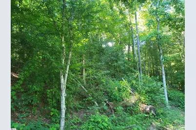 00 Hidden Valley Road, Marietta, SC 29661 - Photo 1