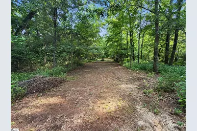 15 Barlia Way, Greenville, SC 29607 - Photo 31