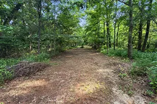 15 Barlia Way, Greenville, SC 29607 - Photo 31