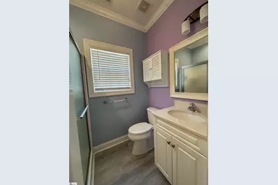 20 Shady Hollow Lane, Greer, SC 29651 - Photo 21