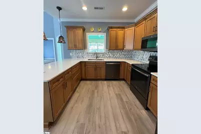 20 Shady Hollow Lane, Greer, SC 29651 - Photo 11