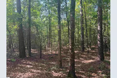 Old Calhoun Falls Road, Abbeville, SC 29620 - Photo 3