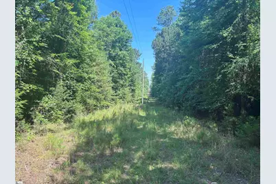 Old Calhoun Falls Road, Abbeville, SC 29620 - Photo 5