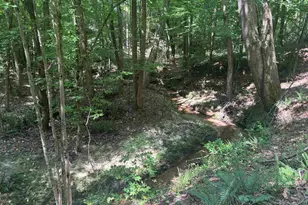 Old Calhoun Falls Rd, Abbeville, SC 29620 - Photo 1