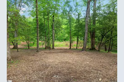 241 Bramlett Road, Greer, SC 29651 - Photo 49