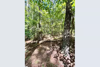 011 Sc - 413 Highway, Anderson, SC 29621 - Photo 9