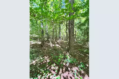 012 Sc - 413 Highway, Anderson, SC 29621 - Photo 7