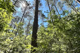 013 Sc - 413 Hwy, Anderson, SC 29621 - Photo 1