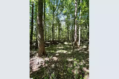 013 Sc - 413 Highway, Anderson, SC 29621 - Photo 3