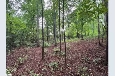 3009 Kemet Way, Simpsonville, SC 29681 - Photo 13