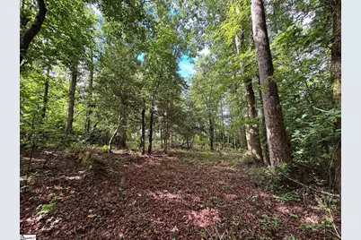 3009 Kemet Way, Simpsonville, SC 29681 - Photo 11