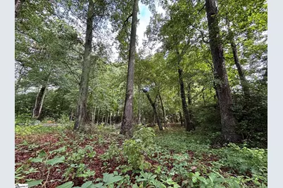 3009 Kemet Way, Simpsonville, SC 29681 - Photo 9