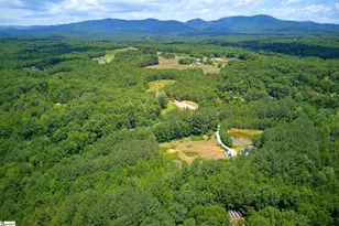 1217 Pleasant Hill Rd, Landrum, SC 29356 - Photo 49