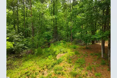 225 Meadow Brook Lane, Pickens, SC 29671 - Photo 9