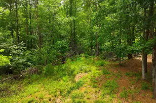 225 Meadow Brook Ln, Pickens, SC 29671 - Photo 9