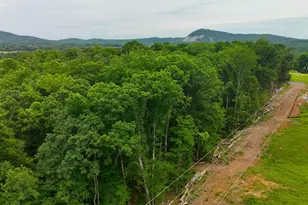 225 Meadow Brook Ln, Pickens, SC 29671 - Photo 21