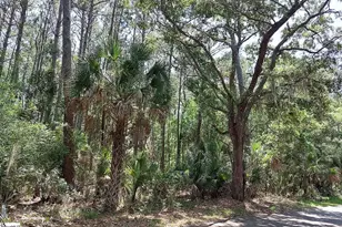 12 Sweetgrass Ln, Kiawah Island, SC 29455 - Photo 1