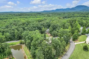 221 Morning View Dr, Landrum, SC 29356 - Photo 25