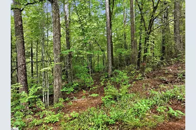 231 Cherokee Hills Drive, Pickens, SC 29671 - Photo 1