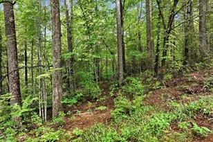 231 Cherokee Hills Dr, Pickens, SC 29671 - Photo 1