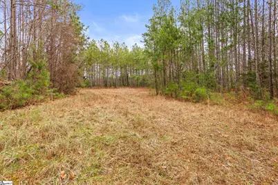 839 Duncan Creek Church Road, Laurens, SC 29360 - Photo 41