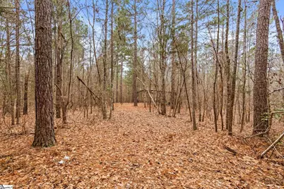 839 Duncan Creek Church Road, Laurens, SC 29360 - Photo 39