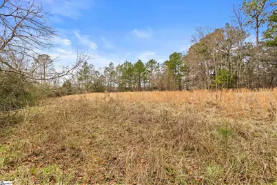 839 Duncan Creek Church Road, Laurens, SC 29360 - Photo 43