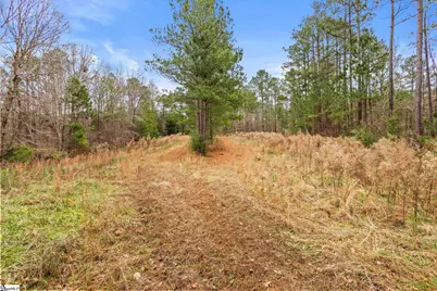 839 Duncan Creek Church Road, Laurens, SC 29360 - Photo 45