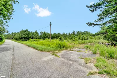 00 Stomp Springs Drive, Clinton, SC 29325 - Photo 19